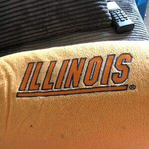 Illinois Orange pillow